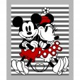 Mickey & Minnie 2021 Panel - Product Image
